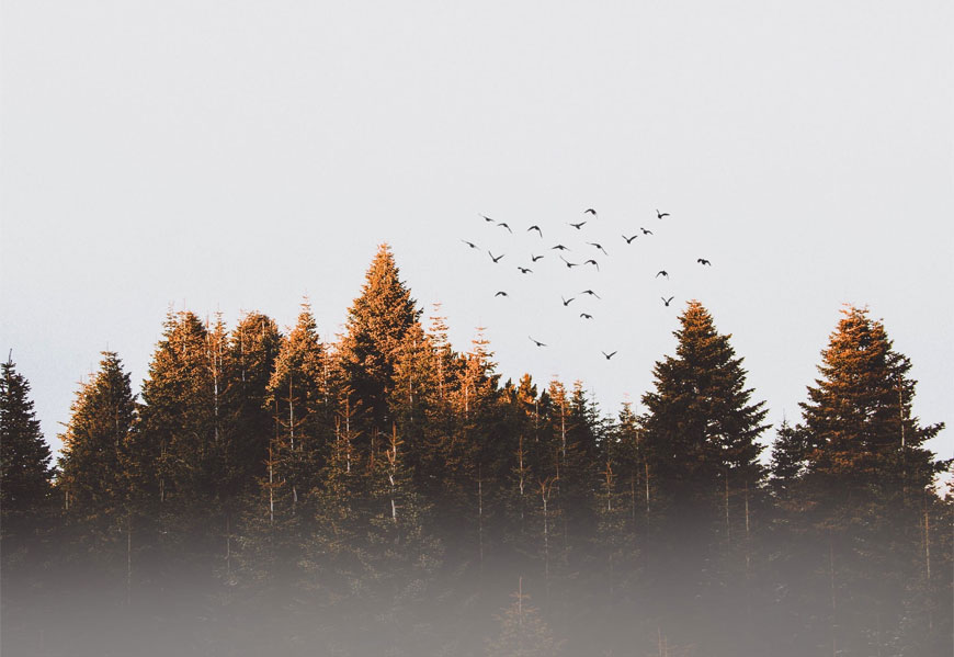 美研VI設計公司創意和表現有規律可循嗎？